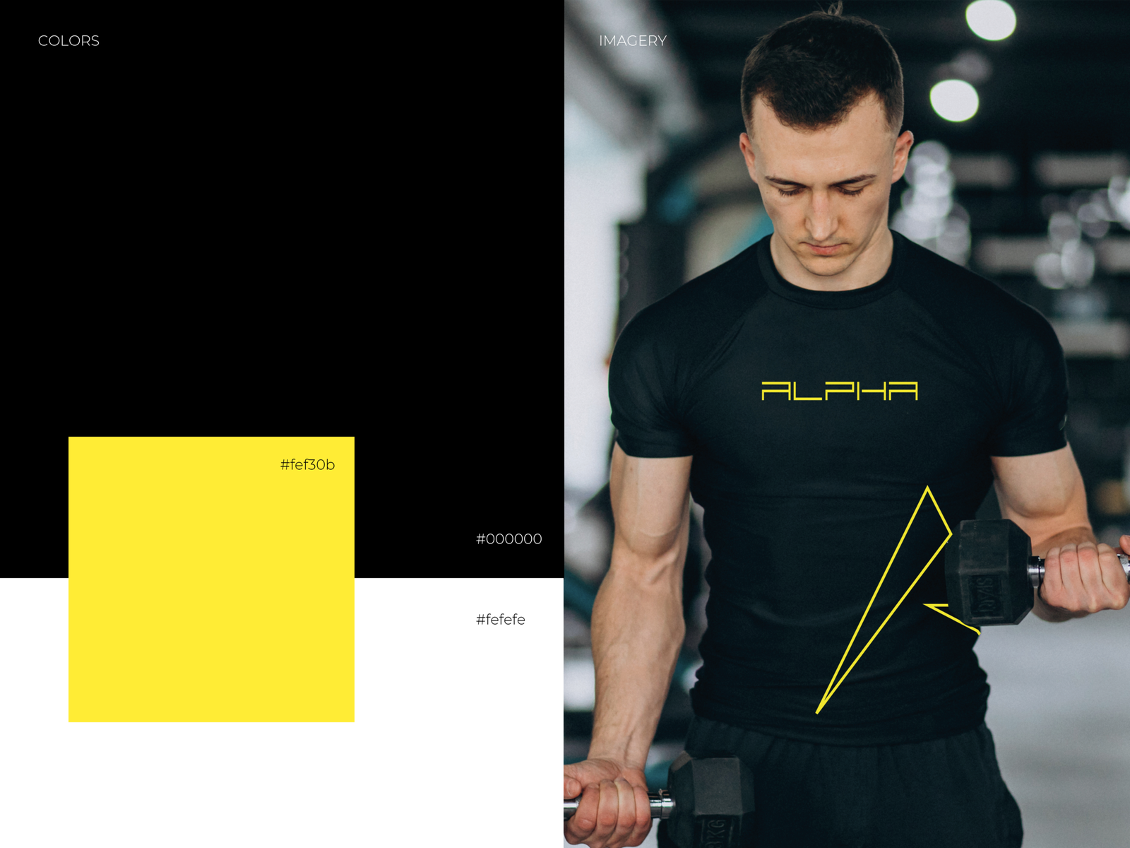 Charte graphique Alpha Gym avec palette de couleurs jaune noir et application du logo sur textile
